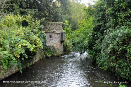 River Avon, Easton Grey, Wiltshire 2020