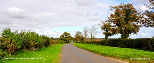 The Fosse Way, nr Grittleton, Wiltshire 2020