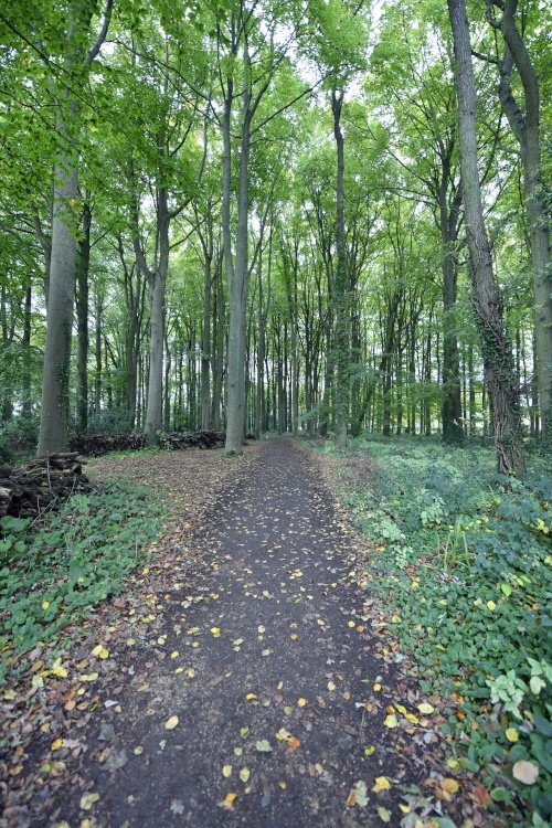 Hidcote Manor Garden