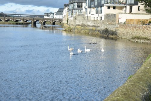 Wadebridge
