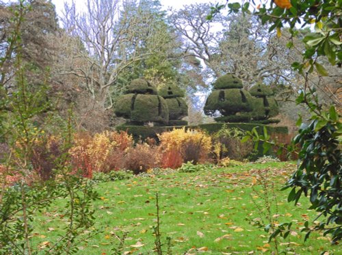 Nymans Garden