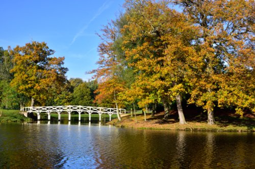 Autumn View of the Chinese Bridge in Painshill Park, Cobham, Surrey