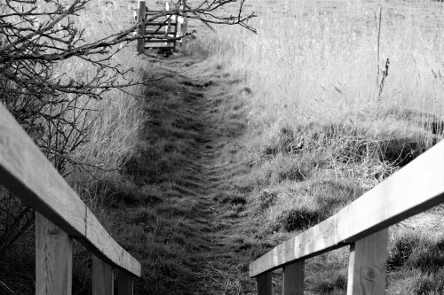 walkway to the unknown