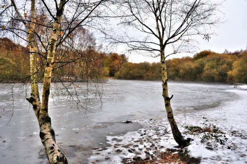 Frozen Kingsmere View with Silver Birches
