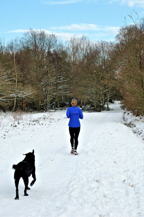 Jogger & Dog in Snow on Wimbledon Common