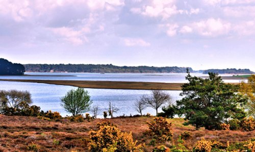 Poole Harbour View From Studland
