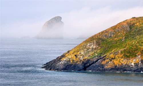 Mist on the Pembrokeshire Coast