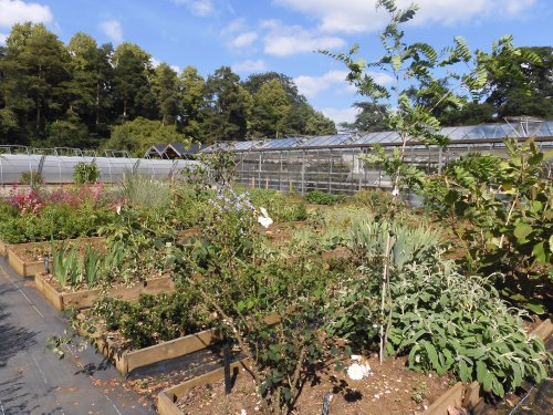Hidcote Manor Garden