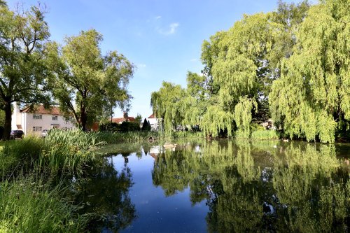 The village pond in Holyport, Berkshire