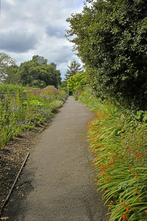 Borde Hill Garden