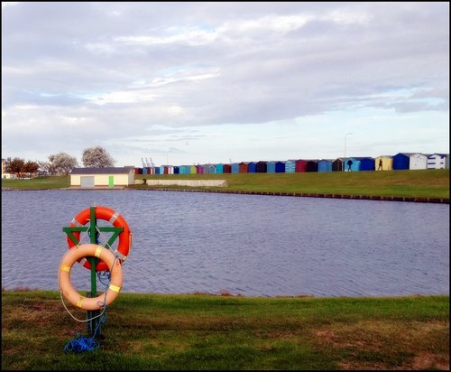 Lifebelts by the lake