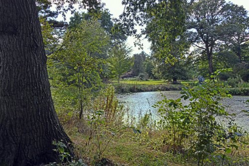 The Lake at Raveningham Gardens