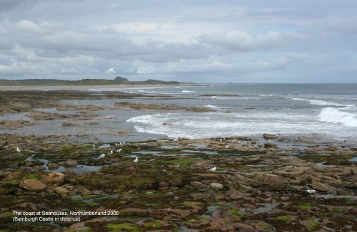 The coast at Seahouses