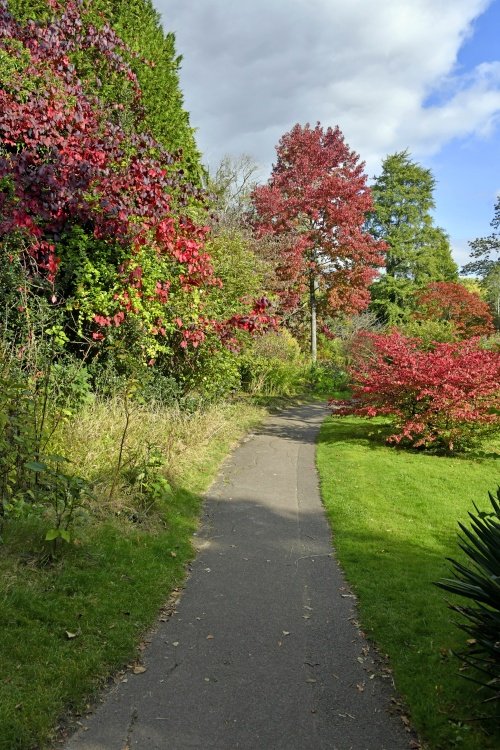 The Botanical Gardens, Bath