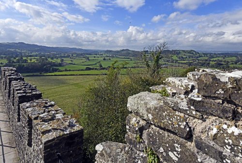 Dinefwr Park