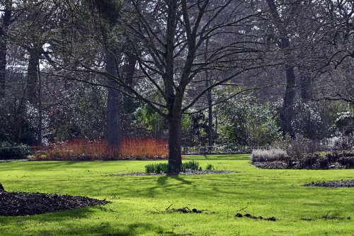 RHS Garden at Wisley