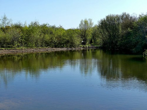 New Pond RSPB Old Moor