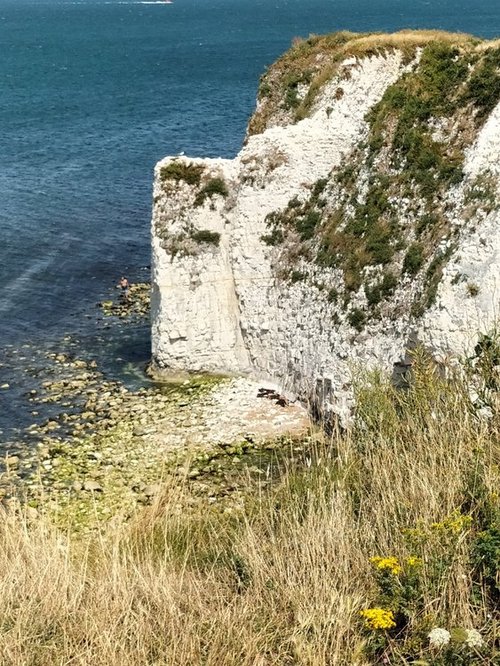 Part of Old Harry Rocks, near Studland village, Dorset.