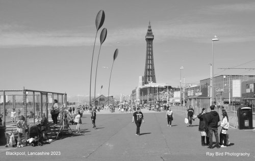 Blackpool