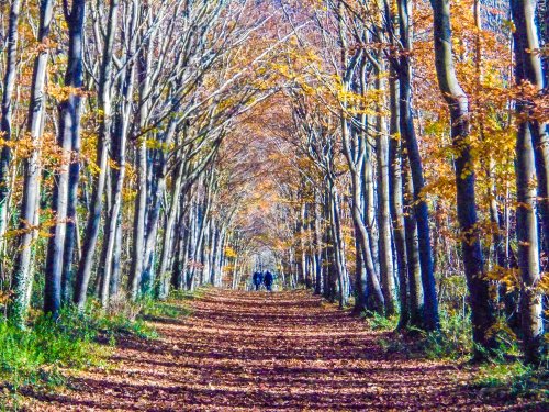 Wandlebury Country Park, Cambridgeshire