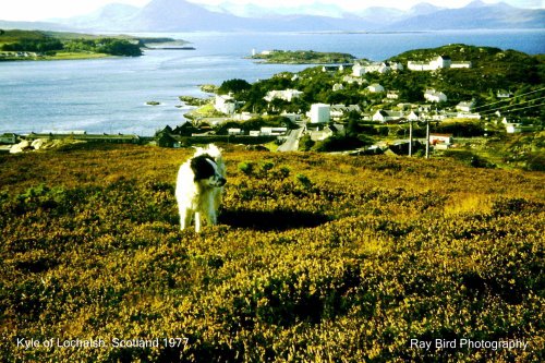 Kyle of Lochalsh