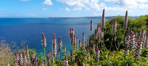 View across Torbay