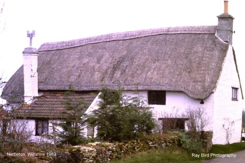 Thatched Cottage, Nettleton, Wiltshire 1980