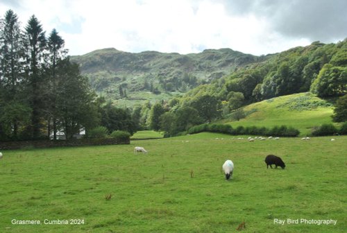 Grasmere