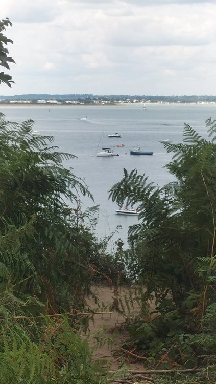 Lovely seaside vista near Studland village