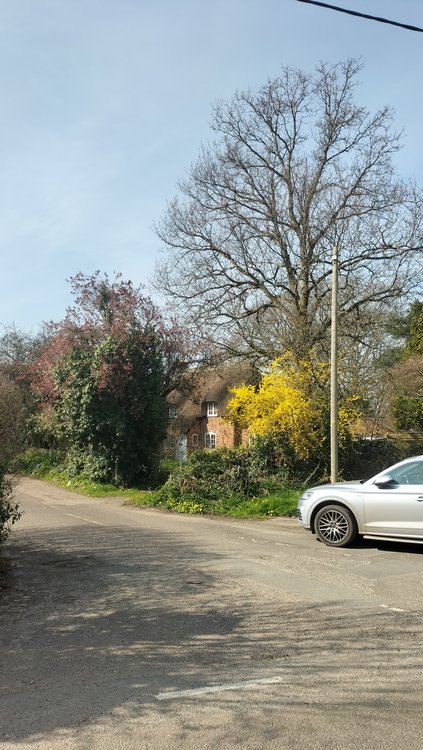 Quintessential thatched thatched country cottage near Christchurch