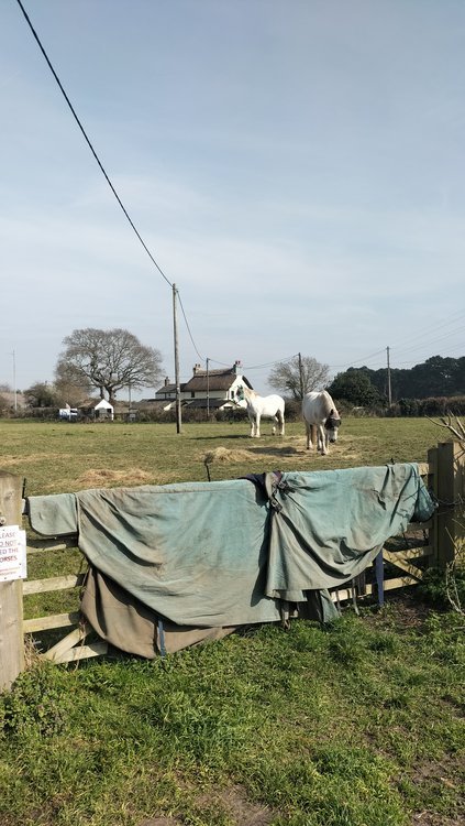 Very attractive thatched country cottage near Christchurch