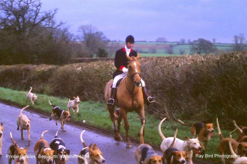 Duke of Beauforts Hunt, Sopworth, Wiltshire 1995