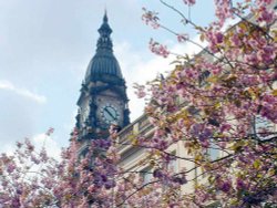 Bolton Town Hall seen through cherry blossom, Spring 2003.