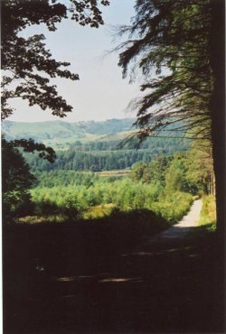 A picture of Macclesfield