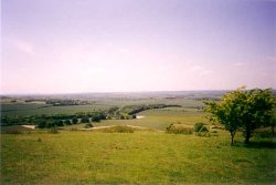 View of Dunstable Downs, Bedfordshire
