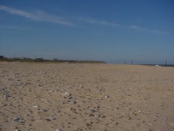 A beach in Great Yarmouth