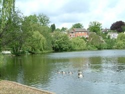The Mere. Diss