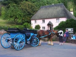 A Village and an attraction in one. Cockington, Devon