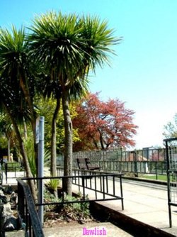 Nr Bowling Green, at Dawlish