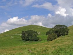 Weaver Hills, Staffordshire. Weaver Summit - Aug 2004