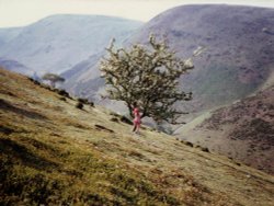 Carding Mill Valley, Shropshire