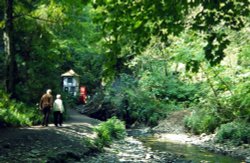 Walking in Groundle Glen