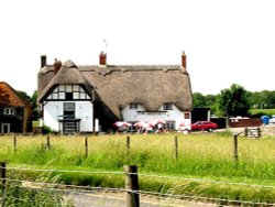 The Red Fox, in Avebury