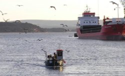 Poole Harbour, Dorset