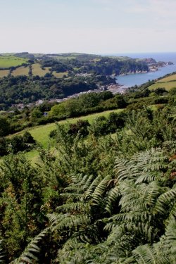 Looking over Combe Martin, Devon