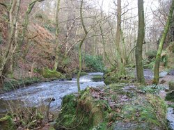 Harden Beck, Harden, West Yorkshire