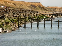 New Milton, Hampshire