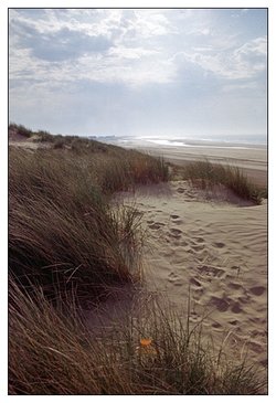 Beach at Camber, East Sussex