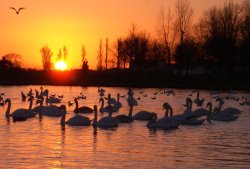 Dovercourt Boating Lake, Essex