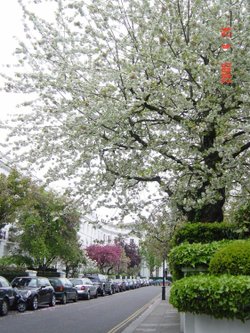 Pelham Place, Chelsea, London